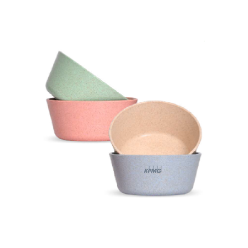 Eha Set of 4 Earth-Friendly Small Curry Bowls 175ml-Multi