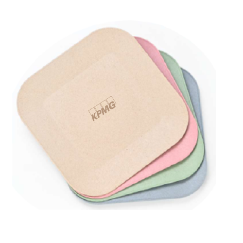 Eha Set of 4 Earth-Friendly Picnic Plates-Multi