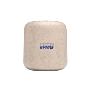 Sound Crush Pebble Eco-Friendly Portable Speaker-Natural